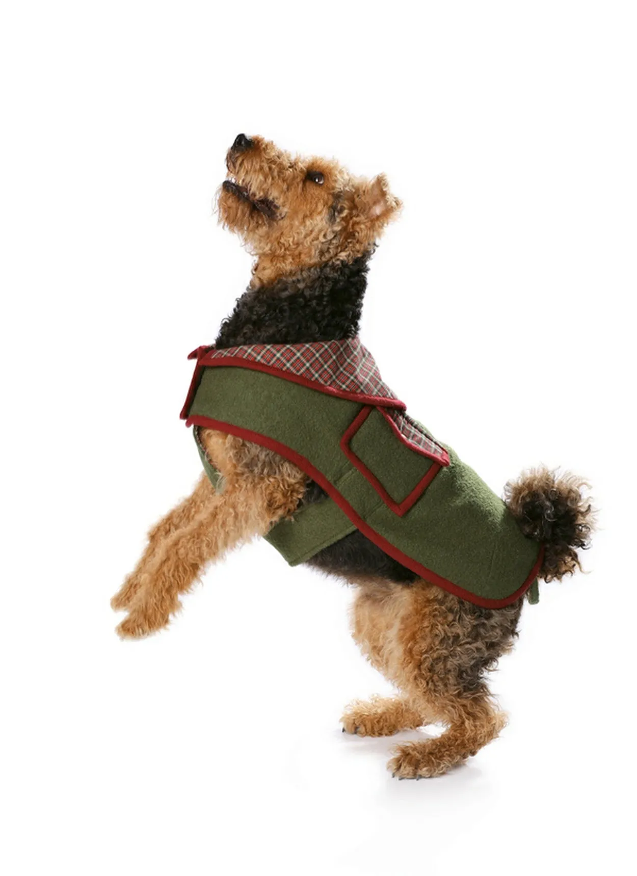 Burda 7752 Dogs Coat Pattern