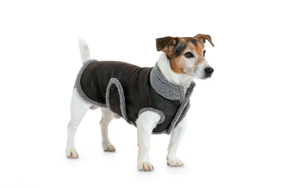 Burda 7752 Dogs Coat Pattern