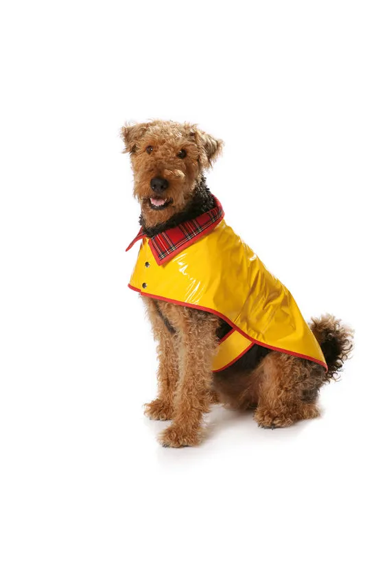 Burda 7752 Dogs Coat Pattern