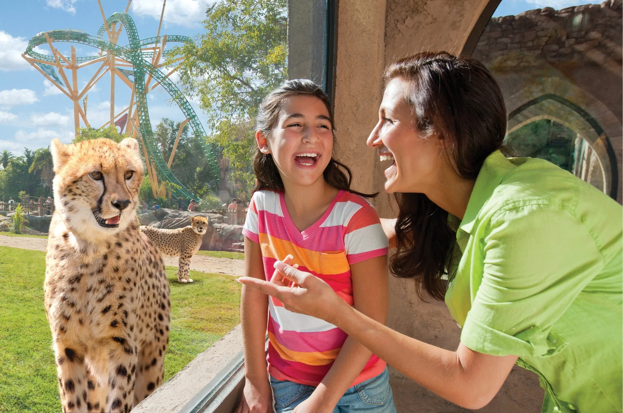 Busch Gardens Tampa