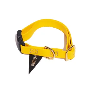 New! Water-Resistant Cat & Dog Collar, Yellow